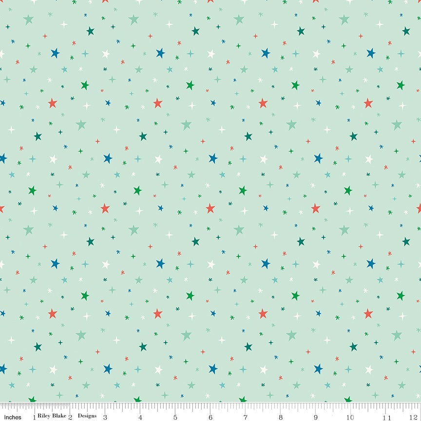 Beyond the Stars in Mint | Brave Your Way by Cayla Naylor Designs | C18314-MINT